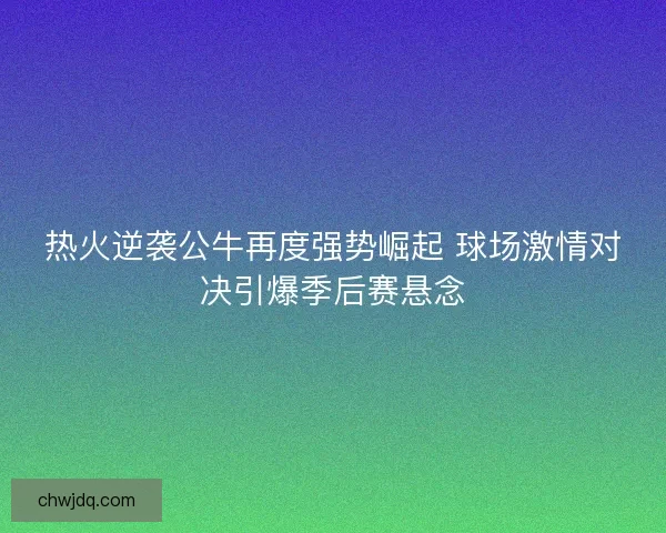 热火逆袭公牛再度强势崛起 球场激情对决引爆季后赛悬念